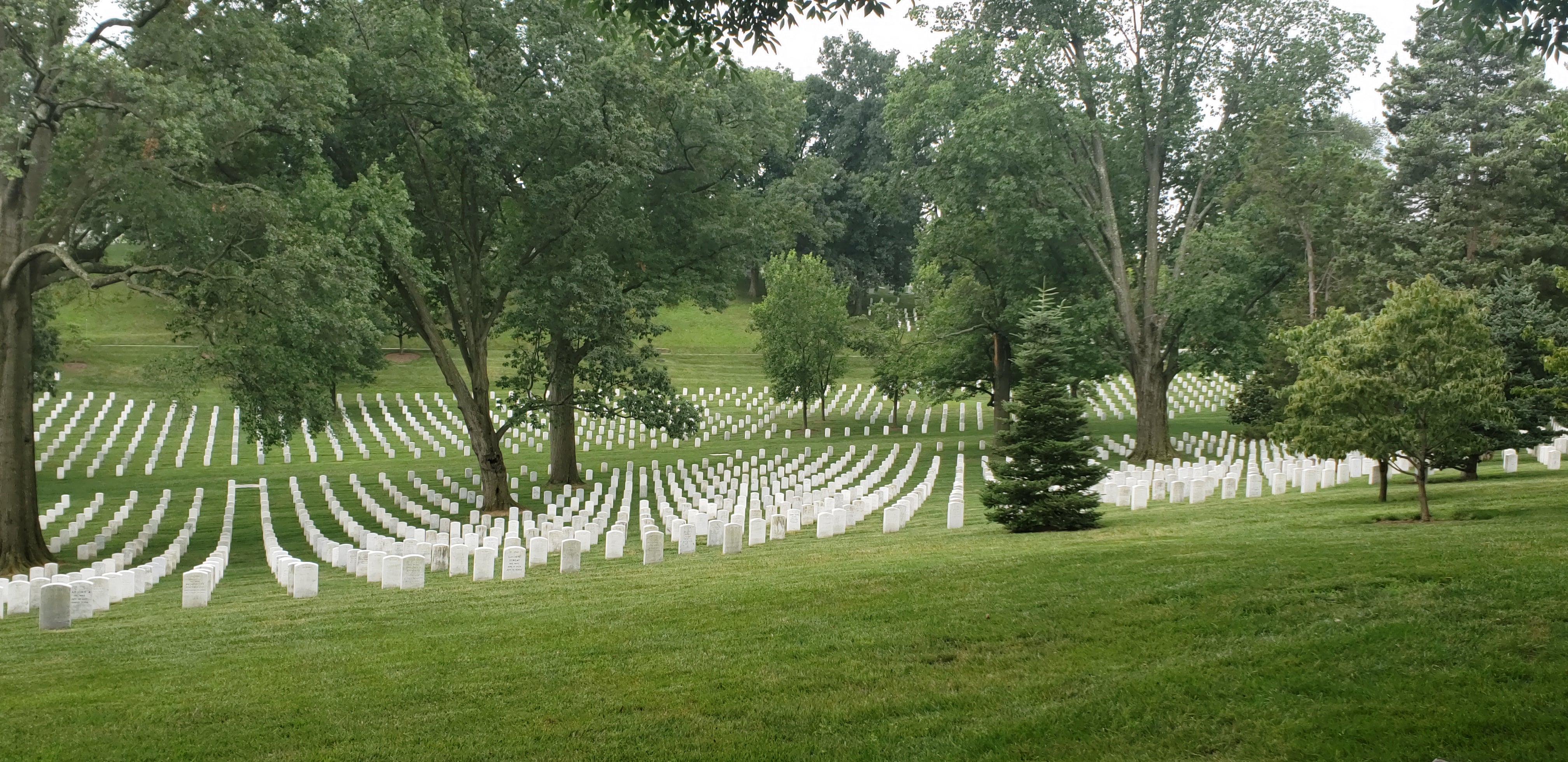 Washington DC & Arlington Cemetery Private Tour | Georgetown Lunch Stop