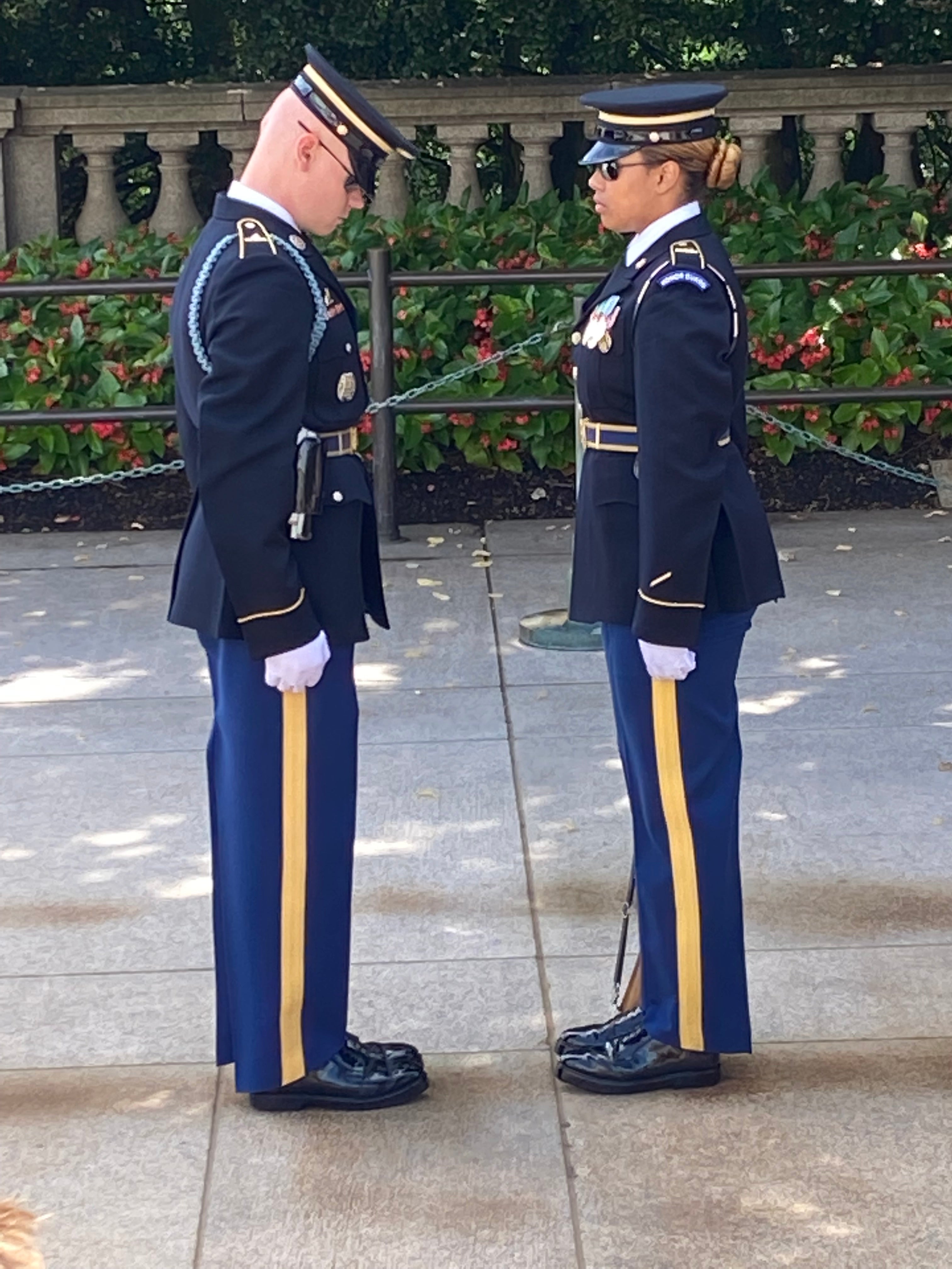 Arlington Cemetery Private Tour from Washington DC | Tram Tickets Included