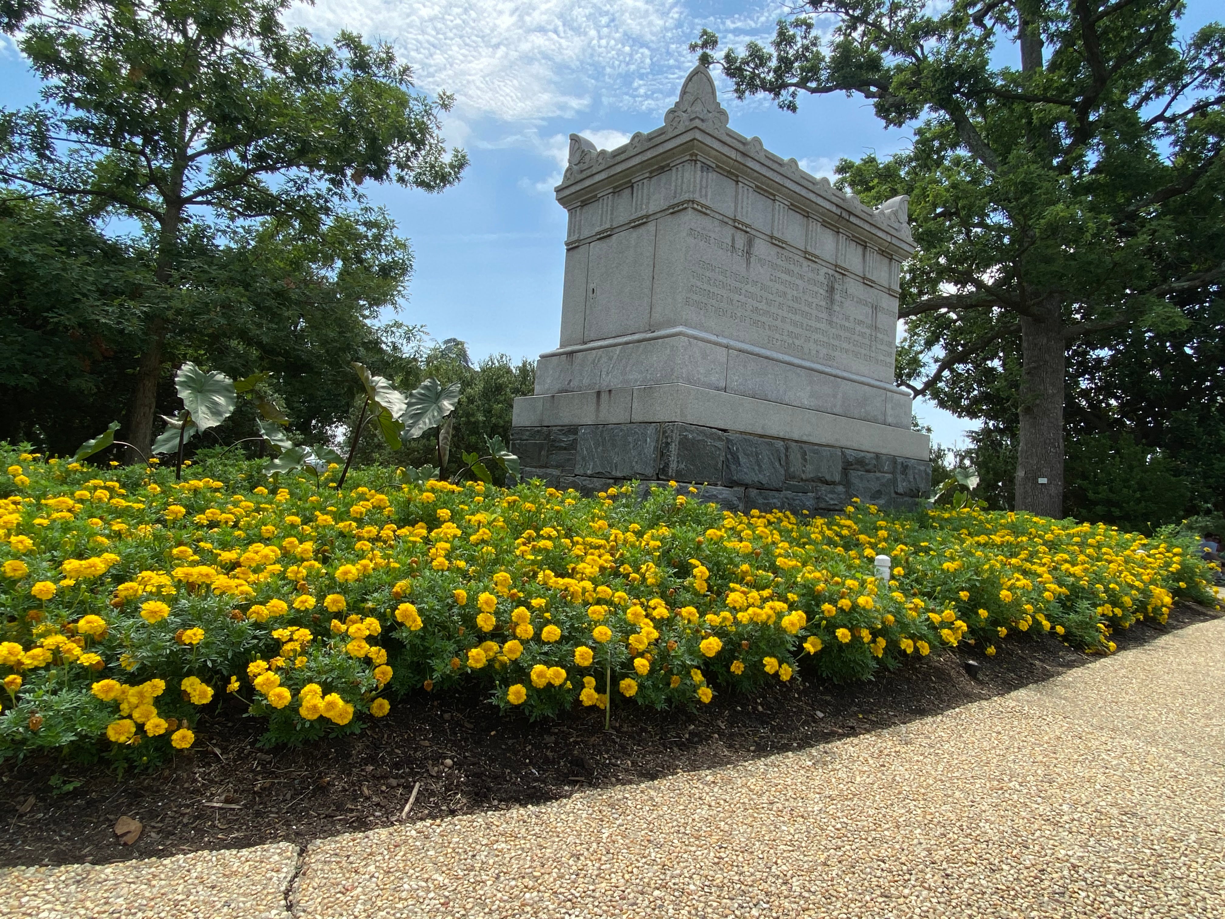 Arlington Cemetery Private Tour from Washington DC | Tram Tickets Included