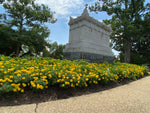 Load image into Gallery viewer, Perfect Private Arlington Cemetery Tour for up to 10 Guests
