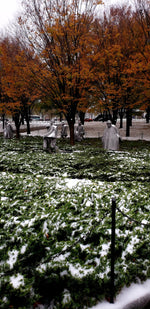 Load image into Gallery viewer, Arlington Cemetery Private Tour Washington D.C.
