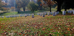 Load image into Gallery viewer, Arlington Cemetery Private Tour Washington D.C.
