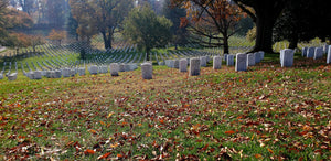 Arlington Cemetery Private Tour Washington D.C.
