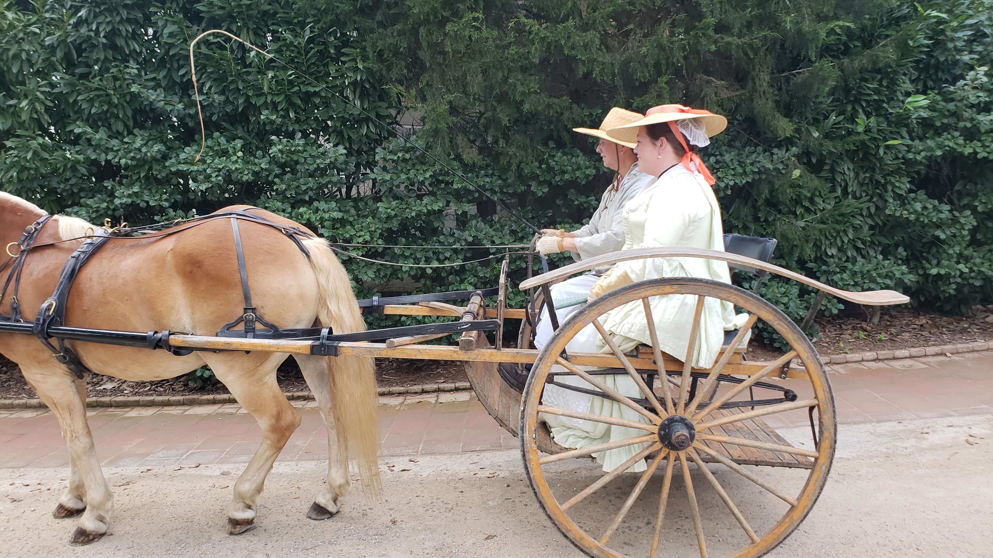 George Washington Animals Mt. Vernon Private Tour