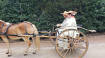 Load image into Gallery viewer, George Washington Animals Mt. Vernon Private Tour
