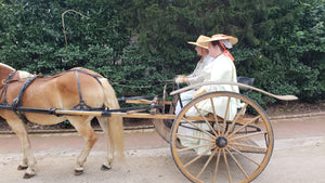 George Washington Animals Mt. Vernon Private Tour