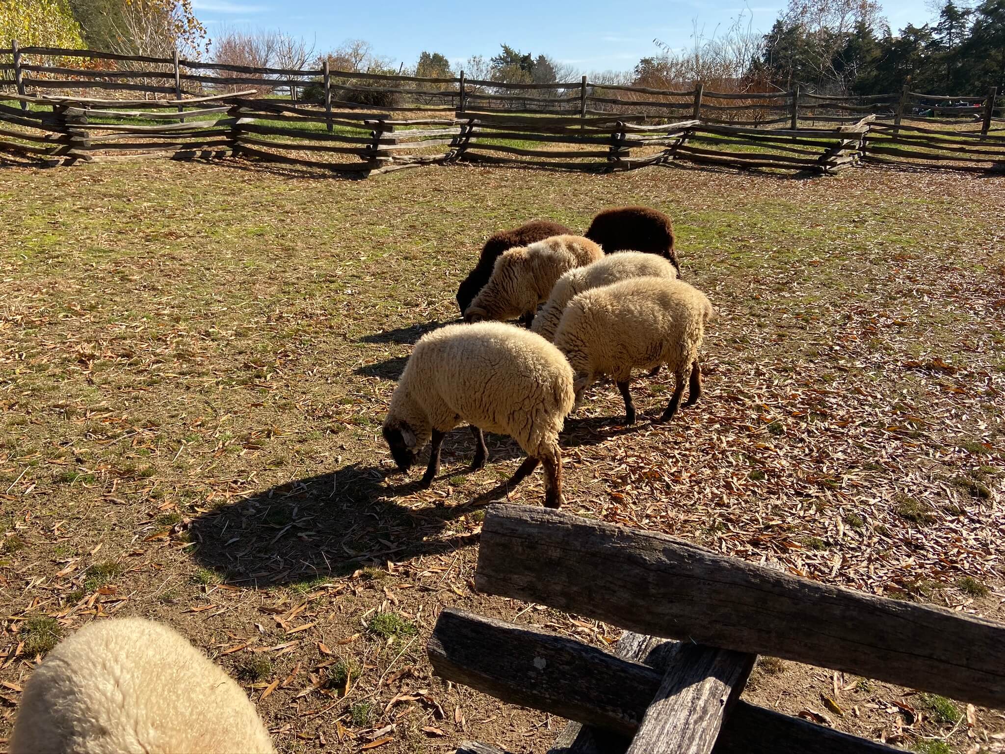 Mt. Vernon Private Tour