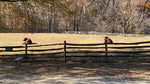 Load image into Gallery viewer, George Washington Animals Mt. Vernon Private Tour
