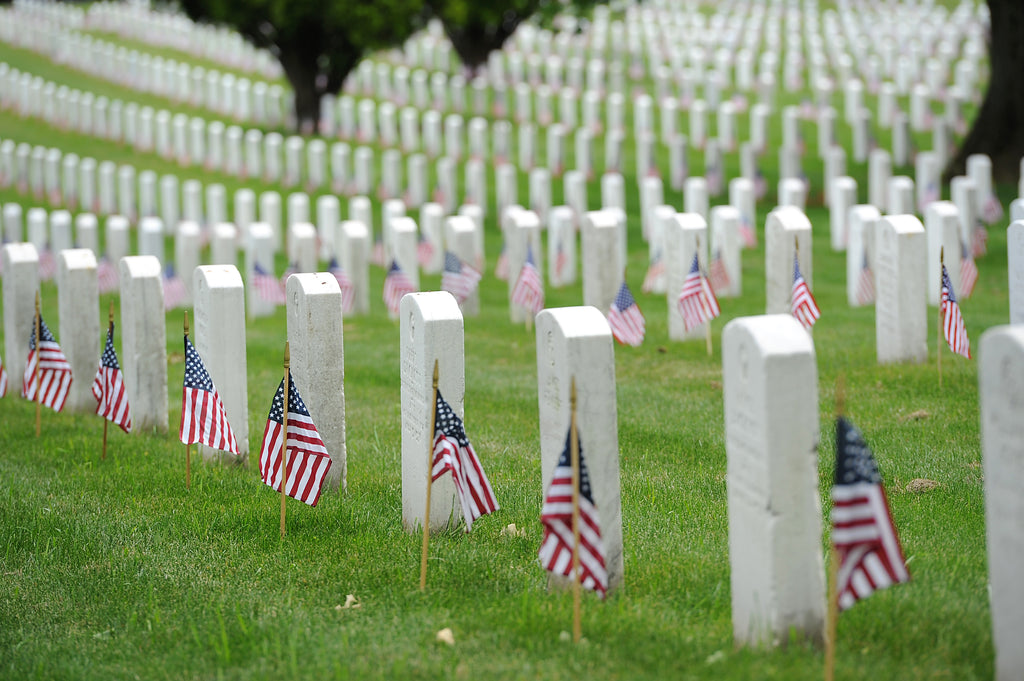 Arlington Cemetery Private Tour Washington D.C.